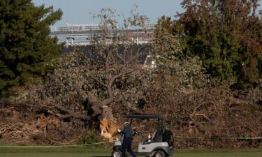 A golfer plays near felled trees at East Potomac Golf Links in Washington