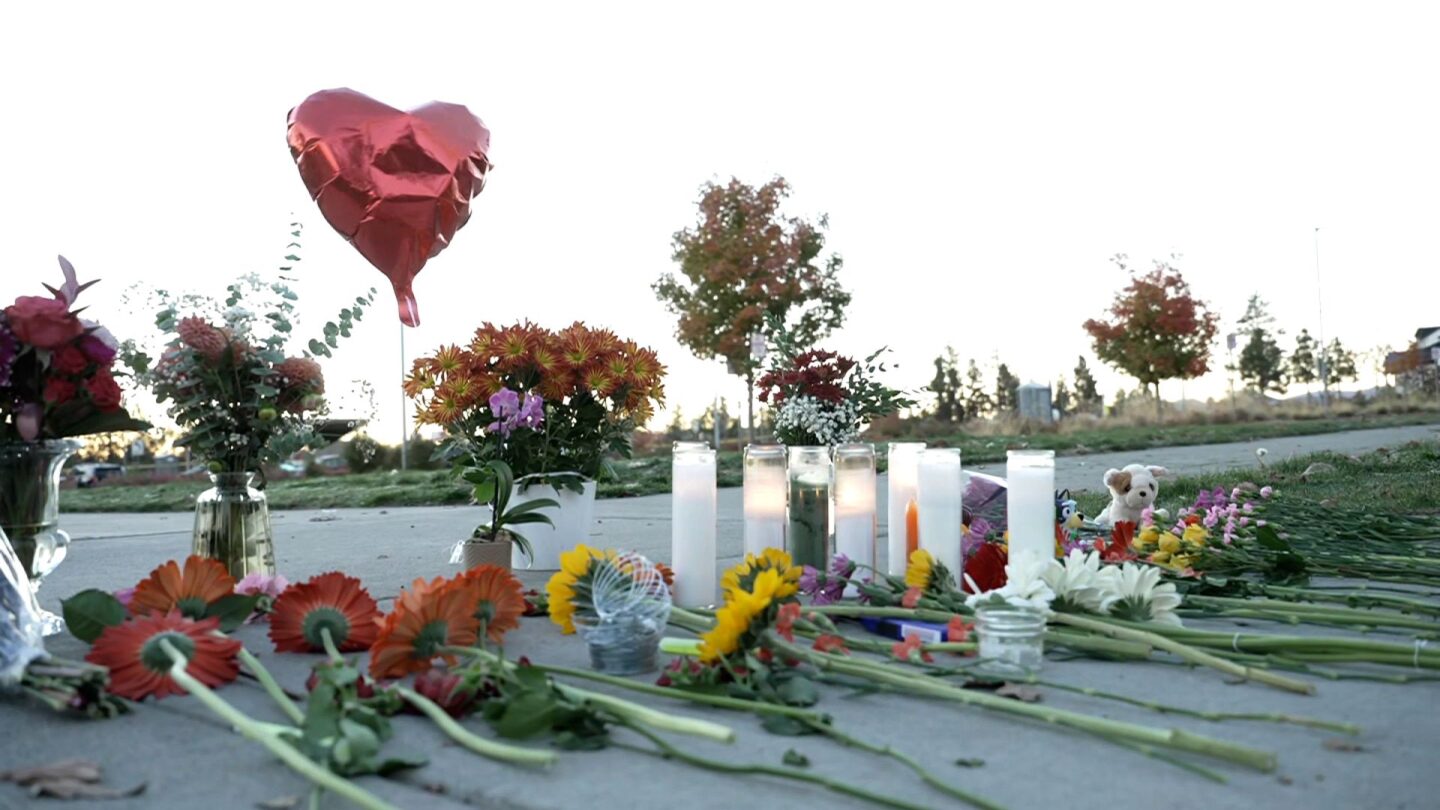 <i>Lillian Hannah Jolly-Summer/Swan Sheridan/Handout/AP via CNN Newsource</i><br/>Rhoam Summer
