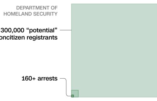 The Department of Homeland Security reviewed more than 100 million records to find noncitizens on the voter rolls.