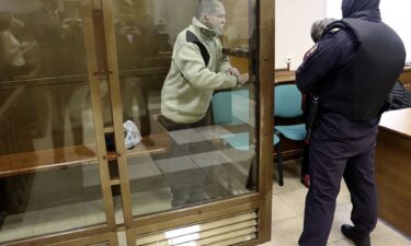 In this photo released by the Moscow City Court Press Service