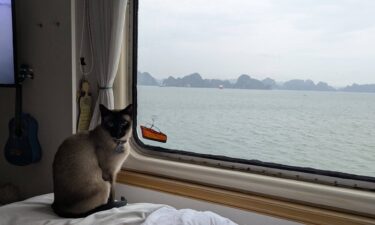 Holly Hennessy and her cat Captain have been living aboard the Odyssey since it departed in September 2024.