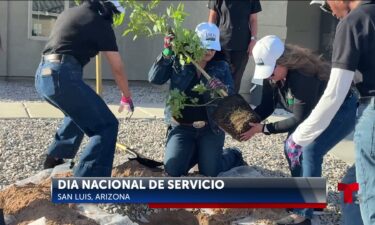 Housing America Corporation y USDA celebran el Día Nacional del Servicio con una jornada de plantación de árboles en San Luis