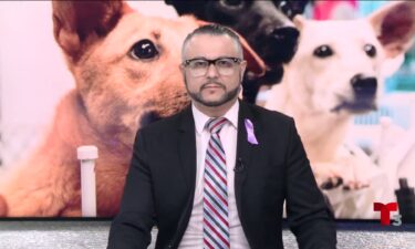 Rescate masivo de animales en el Valle de Mexicali