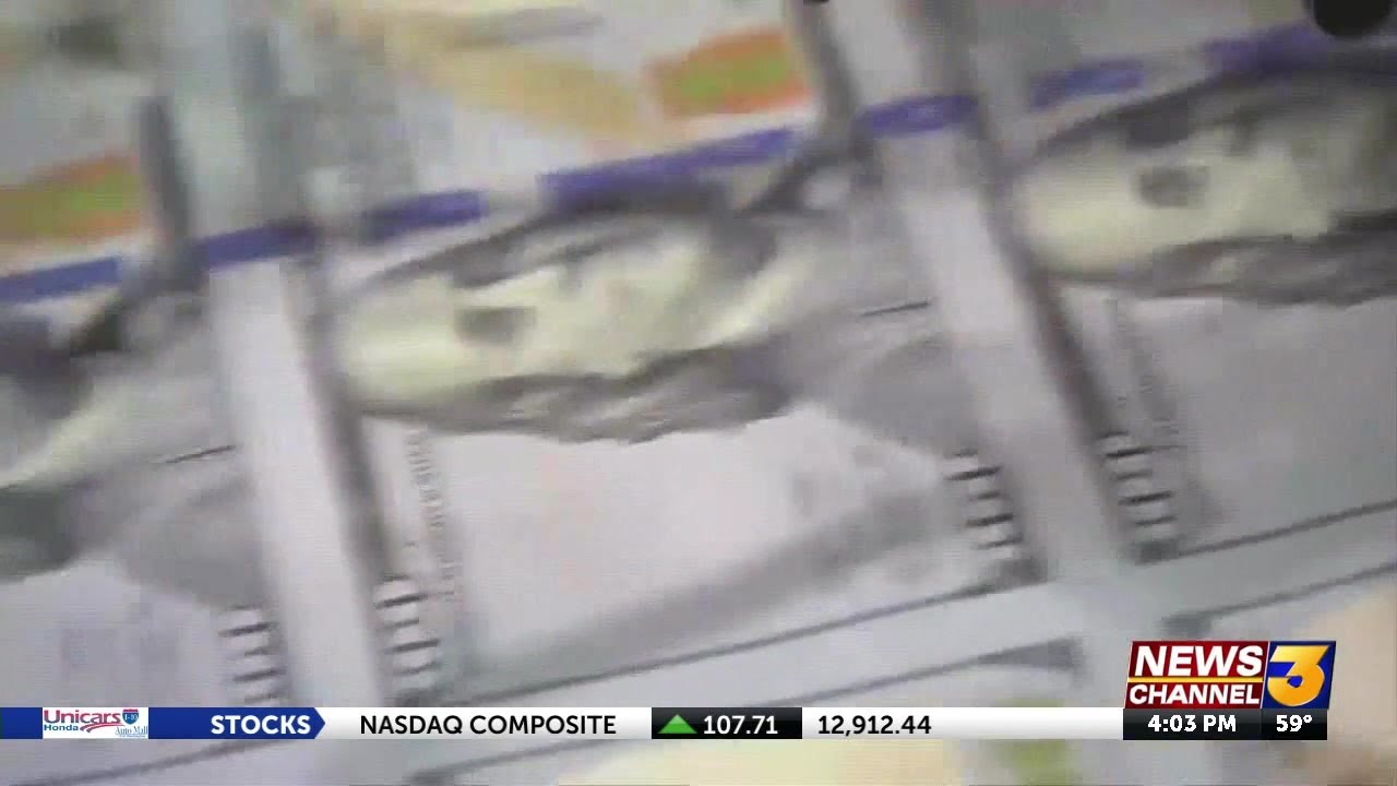 youtube placeholder image