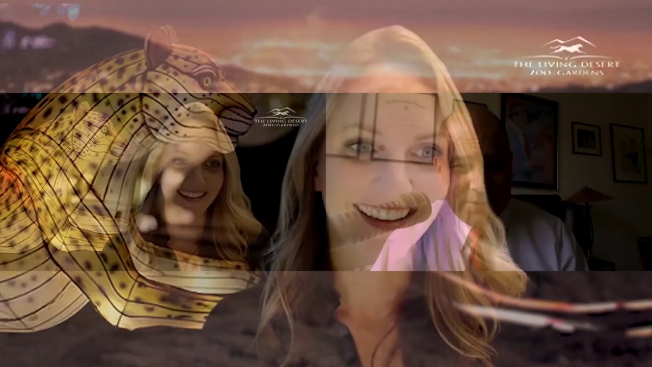 youtube placeholder image