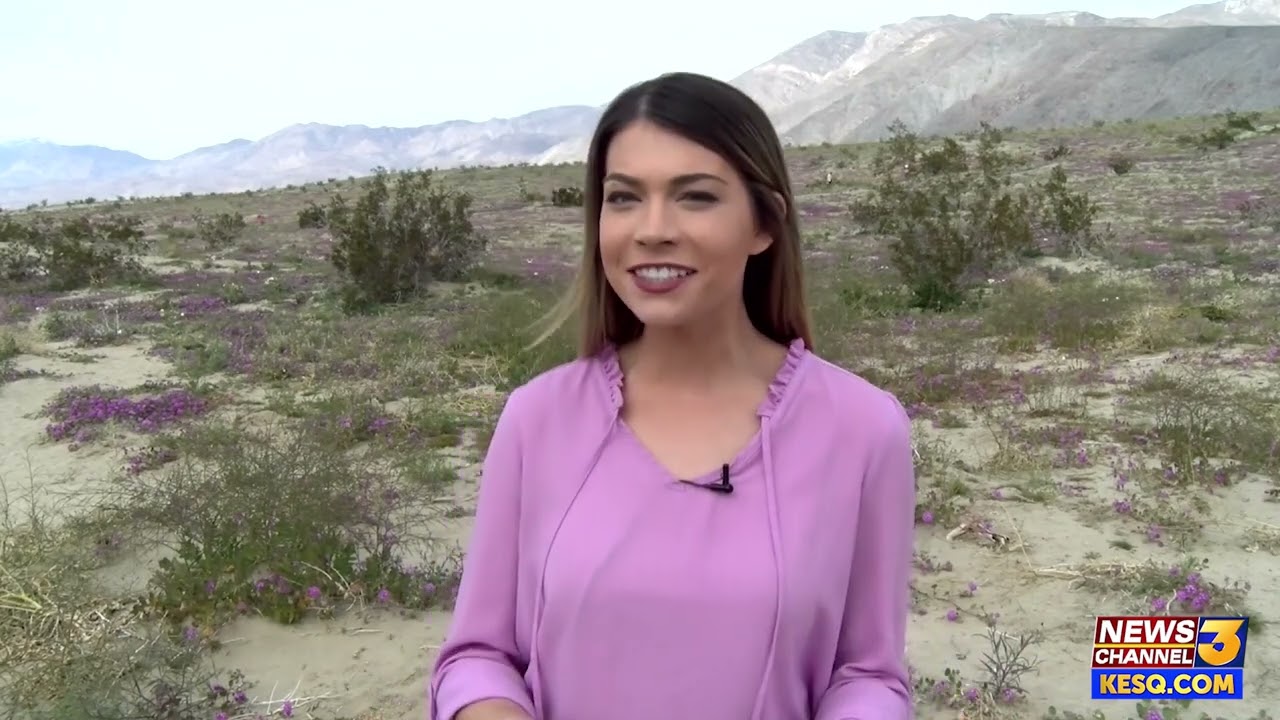 youtube placeholder image
