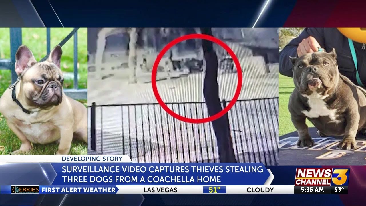 youtube placeholder image