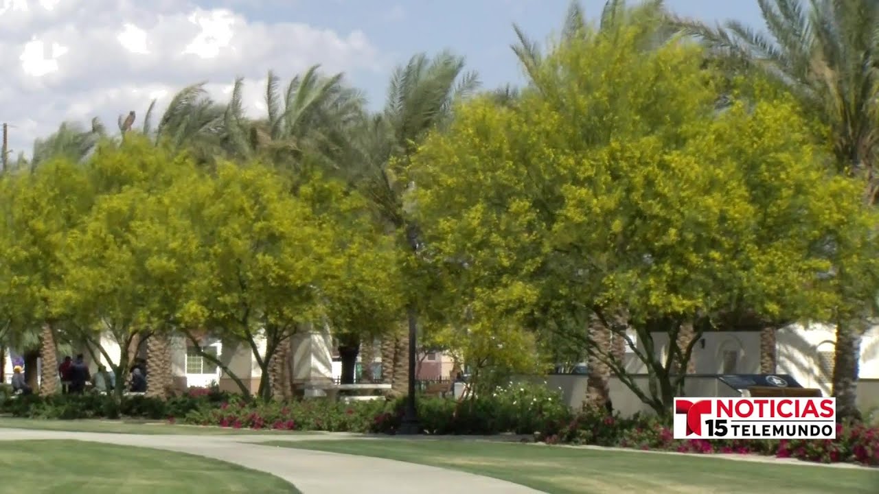 youtube placeholder image